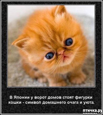 ���� 6: ���������� ����� � ������� � ������