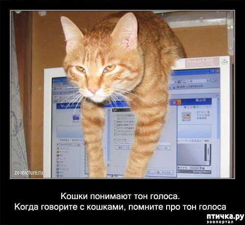 ���� 7: ���������� ����� � ������� � ������