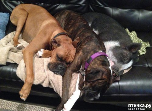 ���� 6: ��� ������ ������, ��� ��� ������.