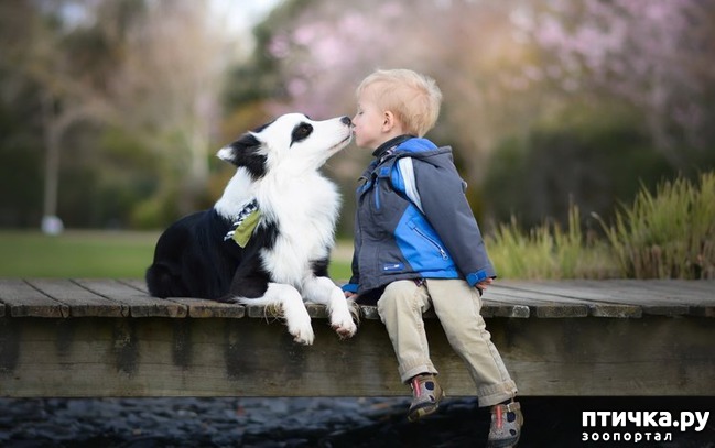 ���� 6: ������ ����� - ����� ����� ������ � ����!