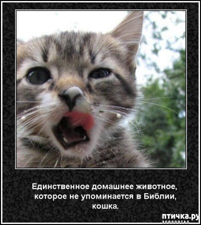 ���� 8: ���������� ����� � ������� � ������