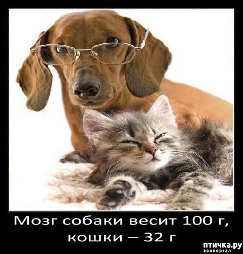 ���� 9: ���������� ����� � ������� � ������