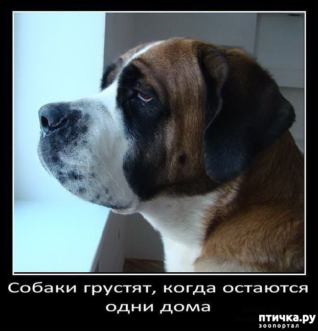 ���� 10: ���������� ����� � ������� � ������