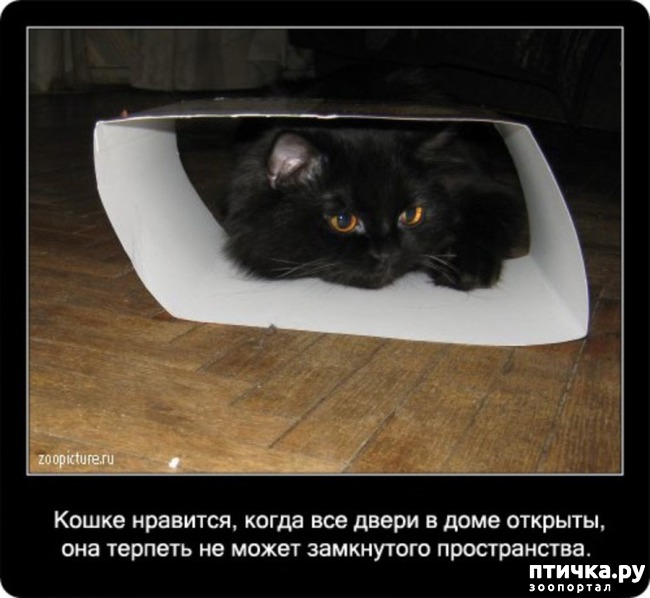 ���� 11: ���������� ����� � ������� � ������