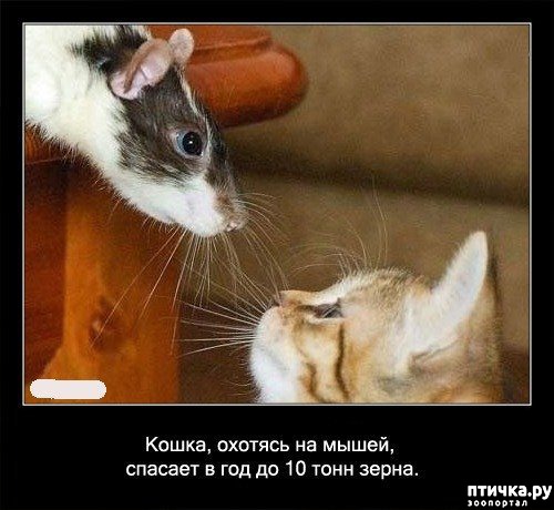 ���� 12: ���������� ����� � ������� � ������