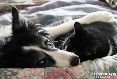 ���� 7: ������ ����� - ����� ����� ������ � ����!