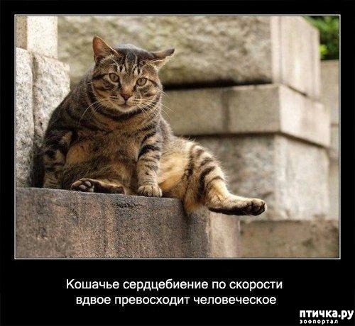 ���� 13: ���������� ����� � ������� � ������