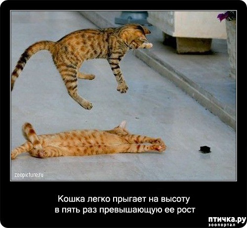 ���� 14: ���������� ����� � ������� � ������