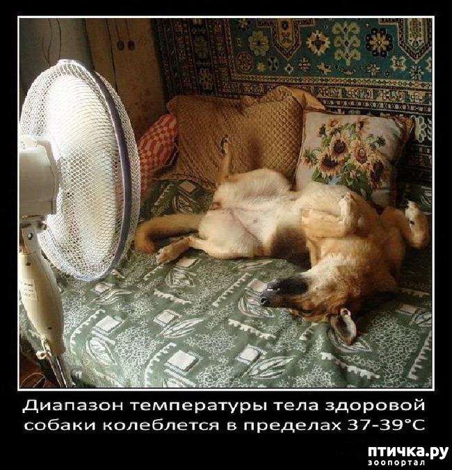 ���� 15: ���������� ����� � ������� � ������