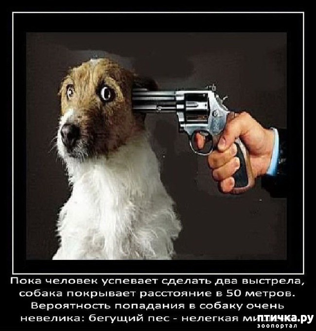 ���� 16: ���������� ����� � ������� � ������