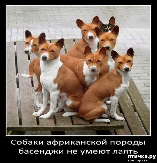 ���� 17: ���������� ����� � ������� � ������