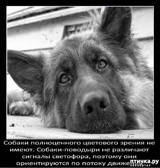 ���� 18: ���������� ����� � ������� � ������