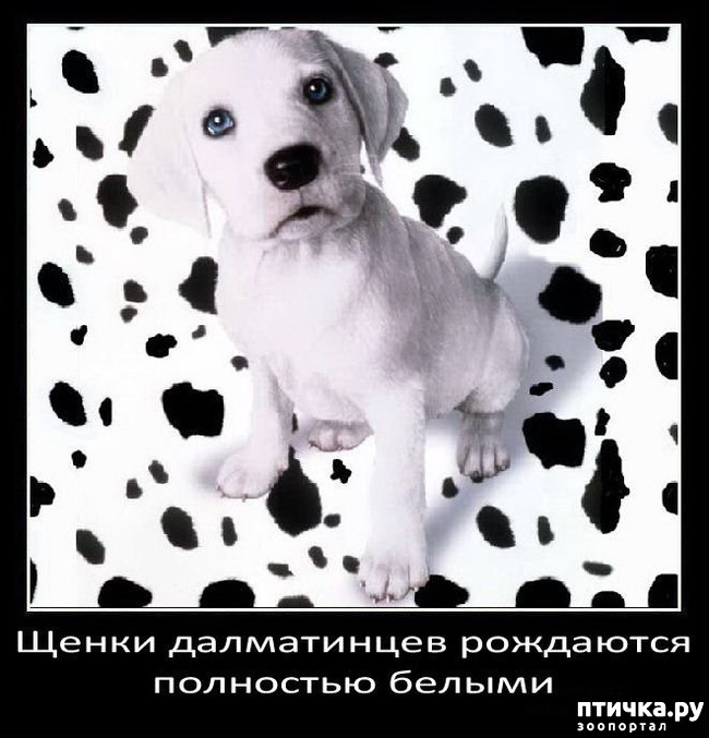 ���� 20: ���������� ����� � ������� � ������