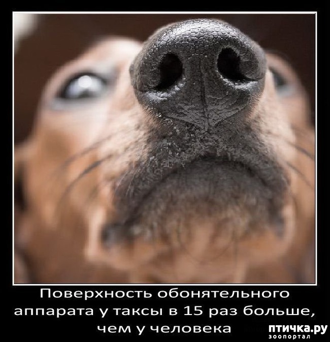 ���� 21: ���������� ����� � ������� � ������