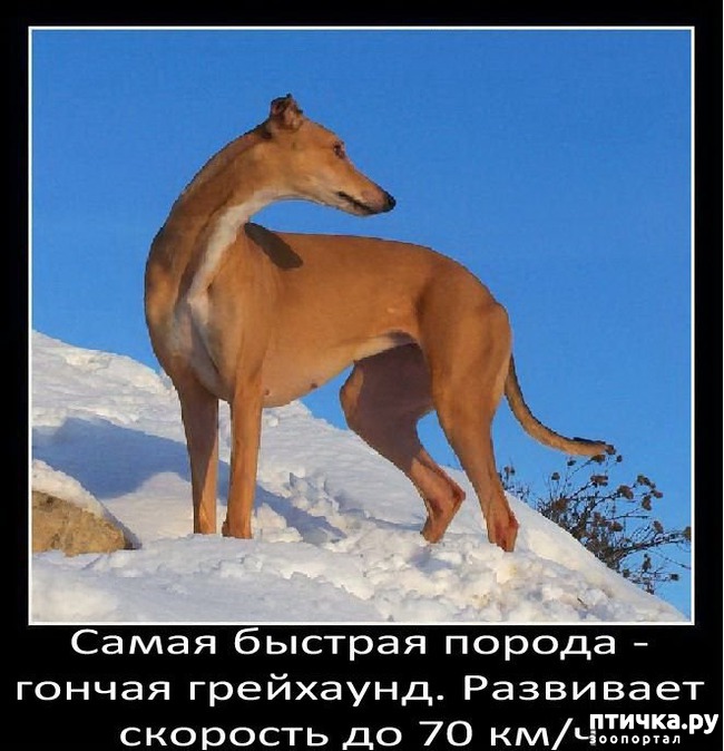 ���� 22: ���������� ����� � ������� � ������