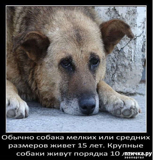 ���� 23: ���������� ����� � ������� � ������