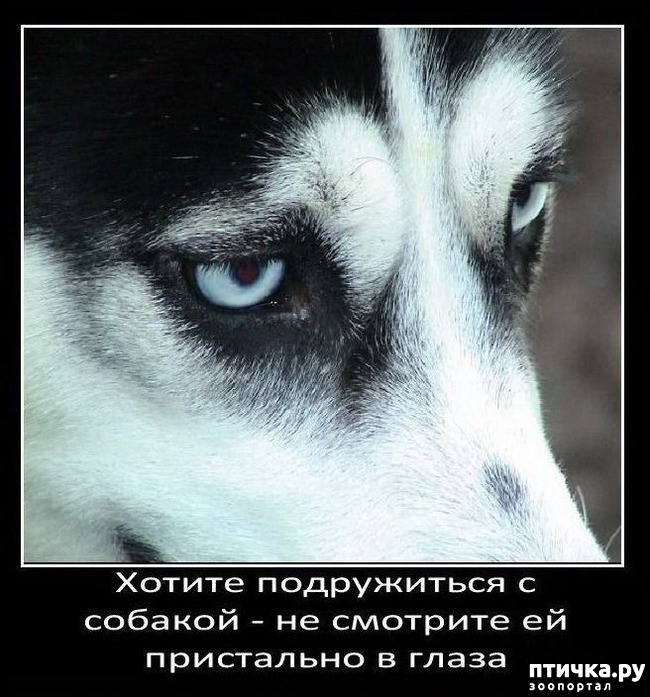 ���� 24: ���������� ����� � ������� � ������