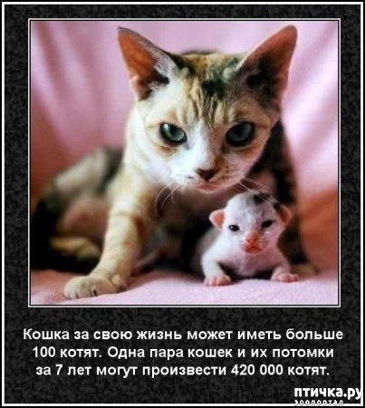 ���� 26: ���������� ����� � ������� � ������