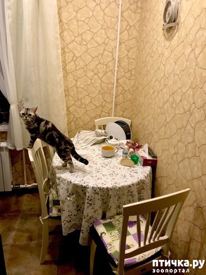 ����: ����� �� ����))