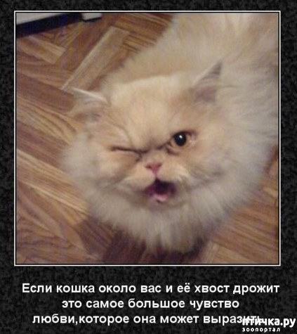 ���� 28: ���������� ����� � ������� � ������