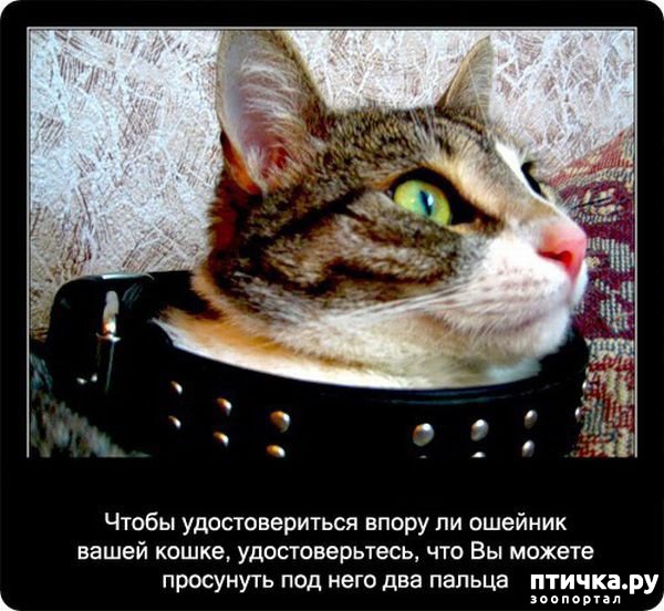 ���� 29: ���������� ����� � ������� � ������