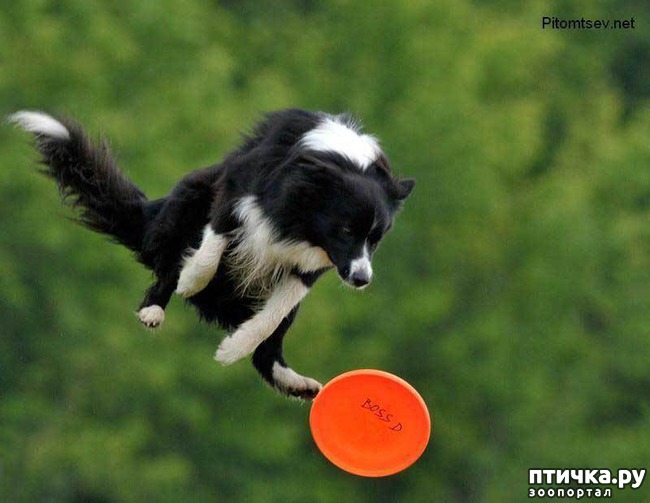 ���� 9: ������ ����� - ����� ����� ������ � ����!