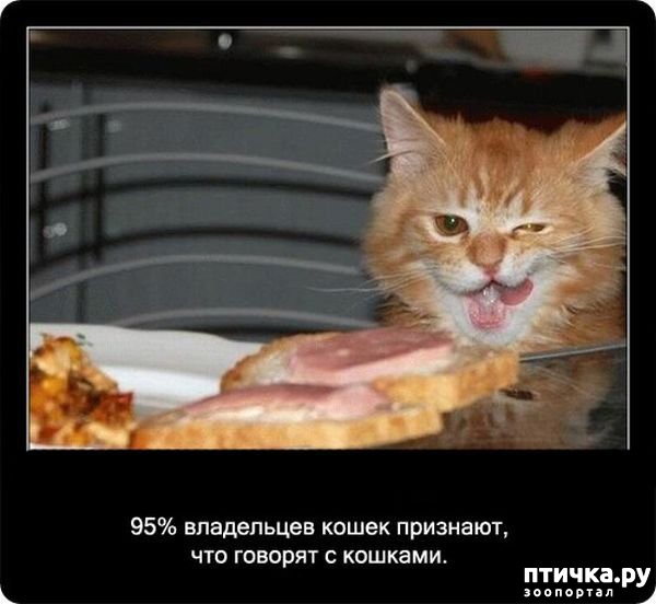 ���� 30: ���������� ����� � ������� � ������