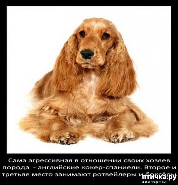 ���� 31: ���������� ����� � ������� � ������