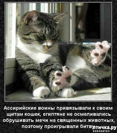 ���� 32: ���������� ����� � ������� � ������