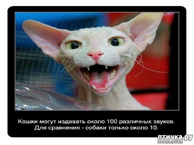 ���� 33: ���������� ����� � ������� � ������