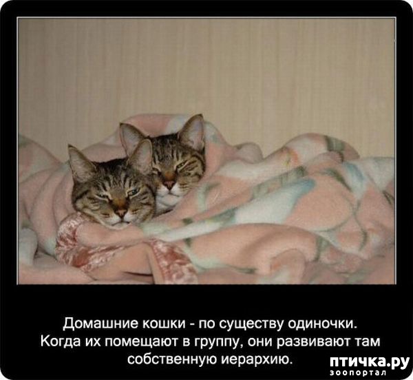 ���� 34: ���������� ����� � ������� � ������