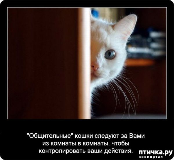 ���� 35: ���������� ����� � ������� � ������