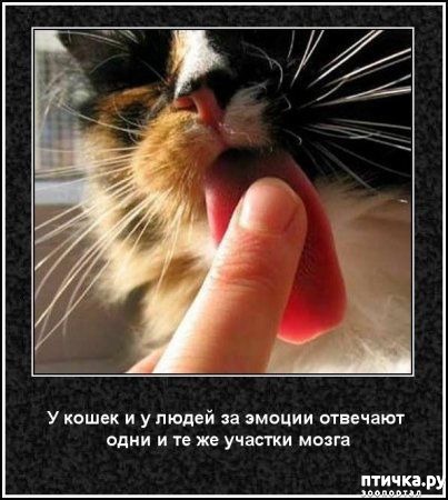 ���� 36: ���������� ����� � ������� � ������