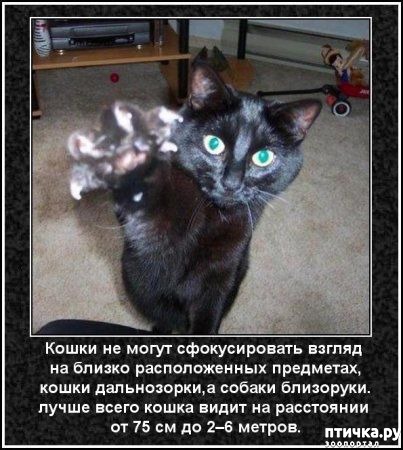 ���� 37: ���������� ����� � ������� � ������