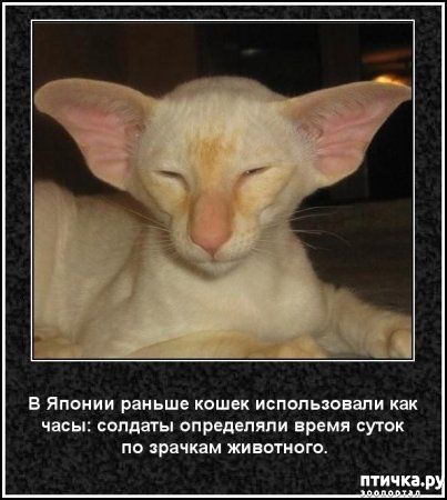 ���� 38: ���������� ����� � ������� � ������