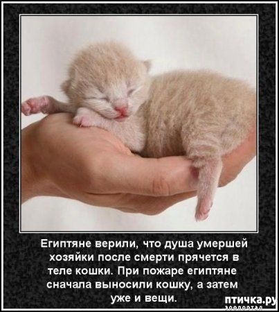 ���� 39: ���������� ����� � ������� � ������