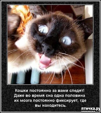 ���� 40: ���������� ����� � ������� � ������