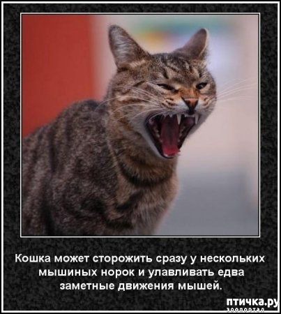 ���� 41: ���������� ����� � ������� � ������