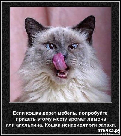 ���� 42: ���������� ����� � ������� � ������