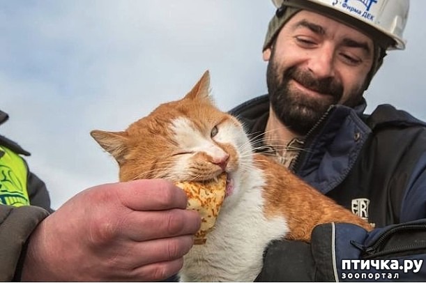 ���� 1: ��� ������. ����������� �������� �� ������� ��������� �����. ������ ������� � ����� ���������