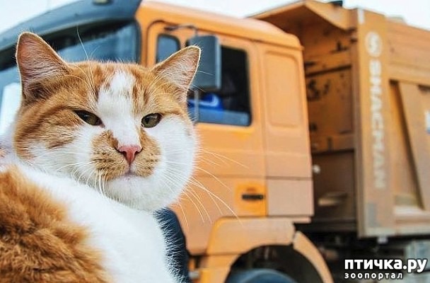 ���� 2: ��� ������. ����������� �������� �� ������� ��������� �����. ������ ������� � ����� ���������