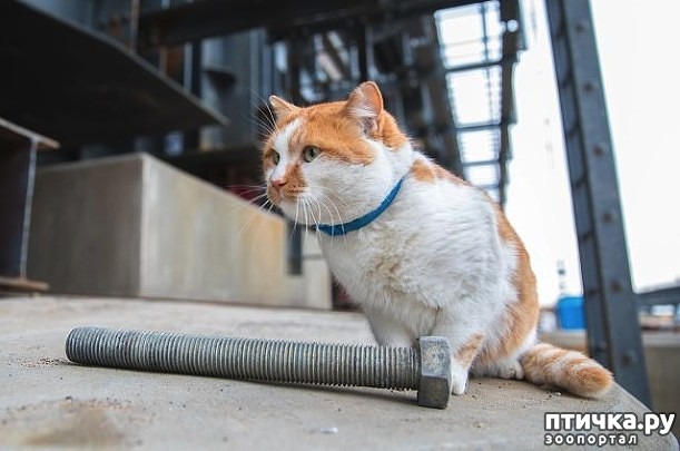 ���� 4: ��� ������. ����������� �������� �� ������� ��������� �����. ������ ������� � ����� ���������