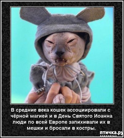 ���� 44: ���������� ����� � ������� � ������