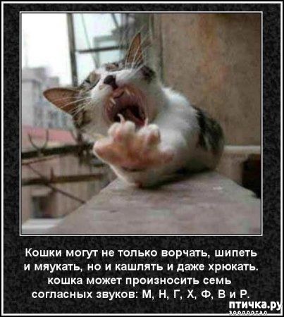 ���� 45: ���������� ����� � ������� � ������