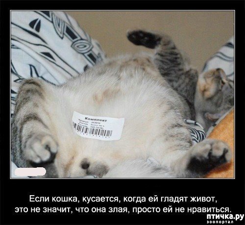 ���� 46: ���������� ����� � ������� � ������