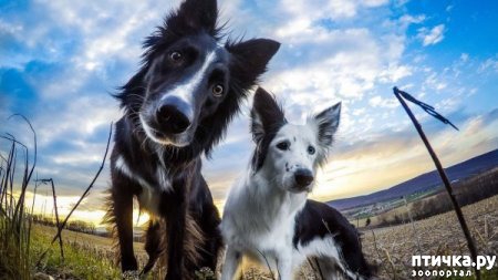 ���� 11: ������ ����� - ����� ����� ������ � ����!