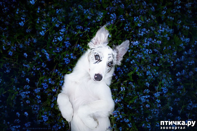 ���� 12: ������ ����� - ����� ����� ������ � ����!