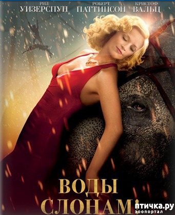 ���� 6: ������������ ������ � ����������� � ��������, ������� ����� ����������.