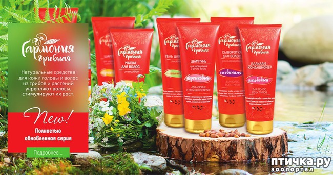 ���� 1: ������� ������� � ������� "����� ������" �� mycharm.ru - 1 ���� (2018)