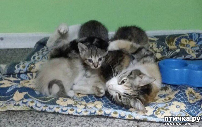 ���� 1: ��� �������� �� 5 ��������� ������!